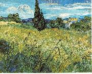 Vincent Van Gogh Green Wheat Field with Cypress oil painting reproduction